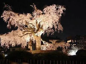 Gion Maifukan Kyōto Giappone